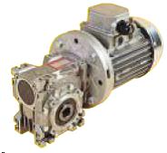 Gear motor