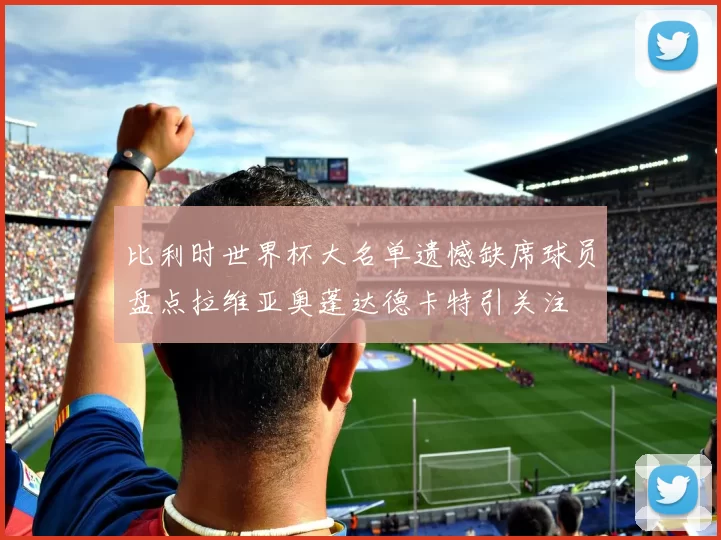 比利时世界杯大名单遗憾缺席球员盘点拉维亚奥蓬达德卡特引关注