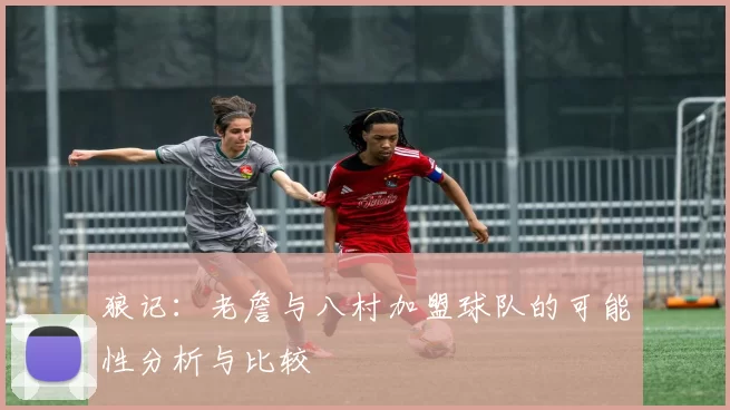 狼记：老詹与八村加盟球队的可能性分析与比较